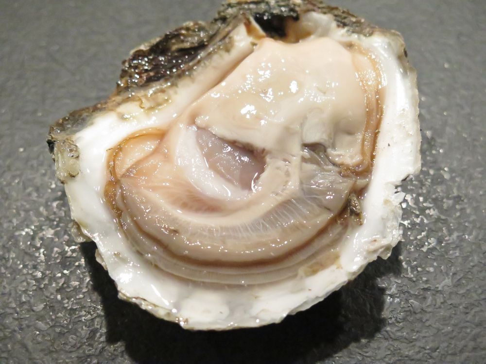 kvitten marmelad