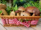 vegetarisk charkbricka